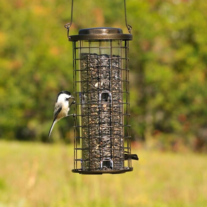 Perky-Pet Squirrel Stumper Wild Bird Feeder