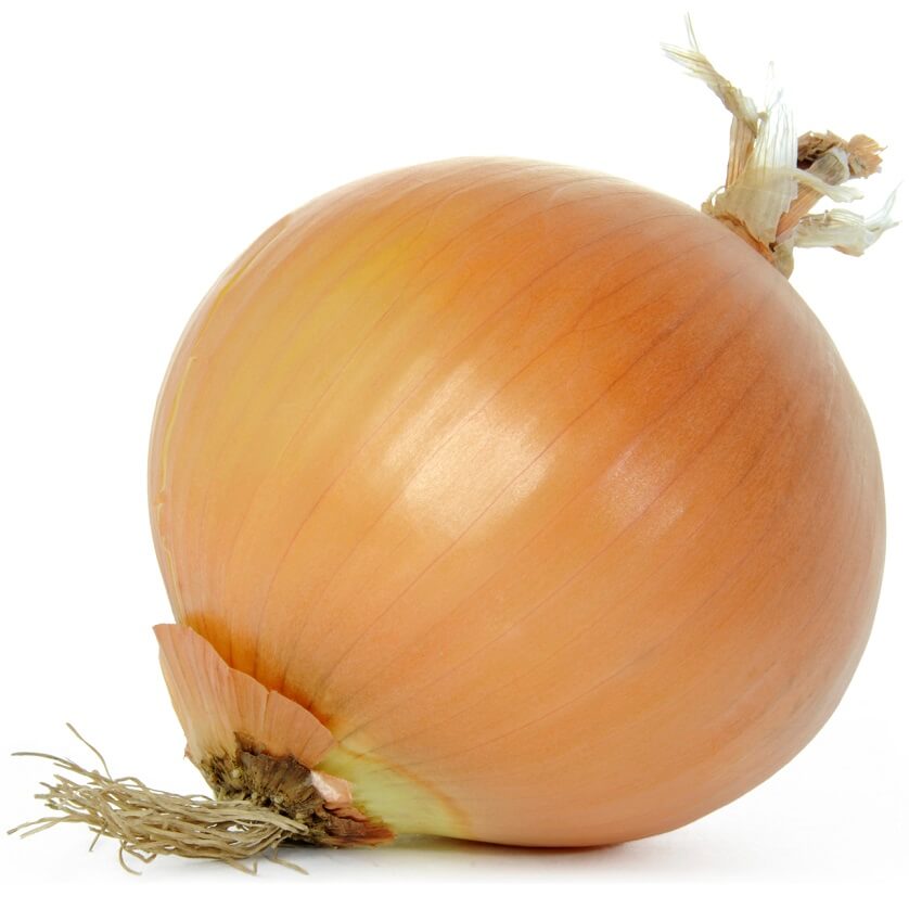 OSC Early Yellow Globe Onion Seeds (Market Type) - Packet