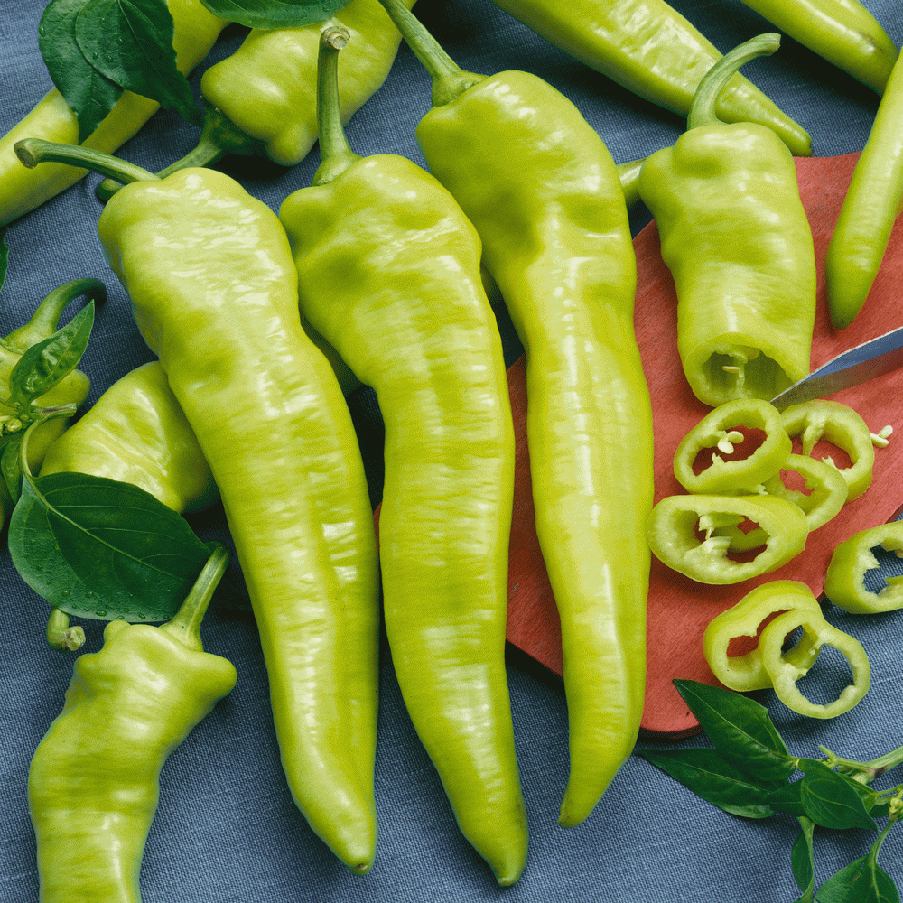 OSC Hungarian Yellow Wax Pepper Seeds (Hot Type) - Packet