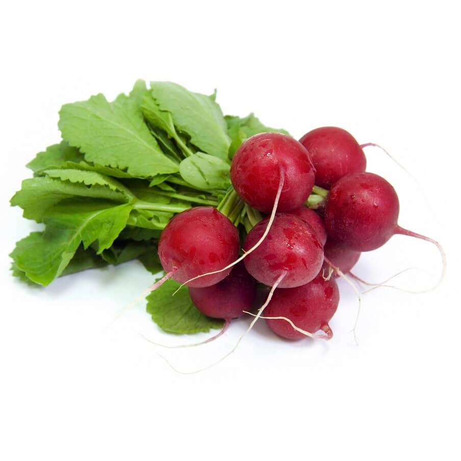 OSC Early Scarlet Globe Radish Seeds (Summer Type) - Packet