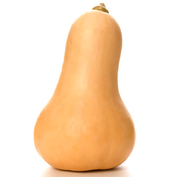 OSC Waltham Butternut Squash Seeds (Winter Type) - Packet