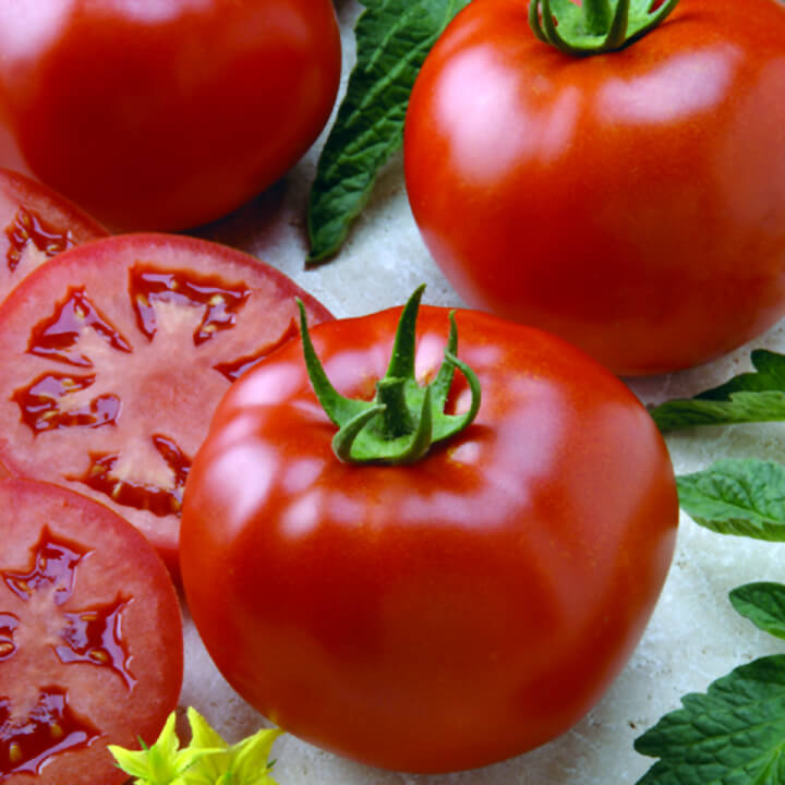 OSC Better Boy Hybrid Tomato Seeds - Packet