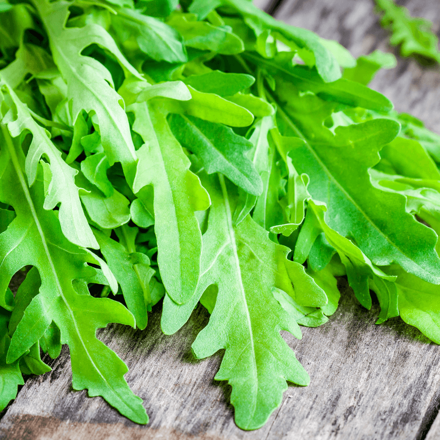 OSC Arugula Seeds - Packet