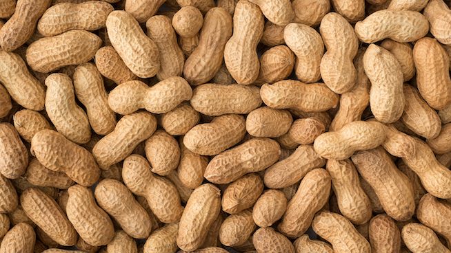 Peanuts in the Shell - 10lb - Bulk