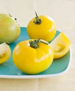 OSC Golden Queen or Jubilee Tomato Seeds -Packet