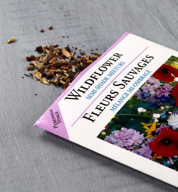 OSC Wildflower Semi-Shade Mix - Packet