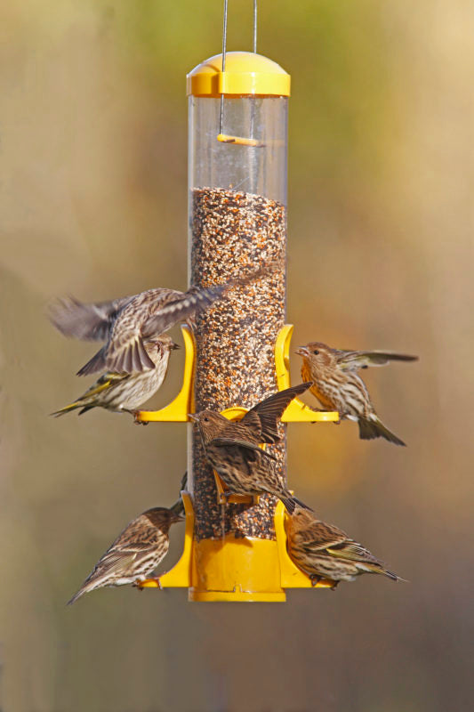 Stokes Select Thistle Tube Bird Feeder - 15 in