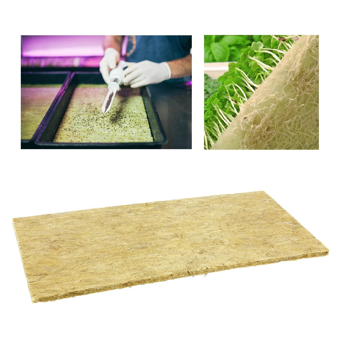 Grodan Cress Plate Bare Sheets 20