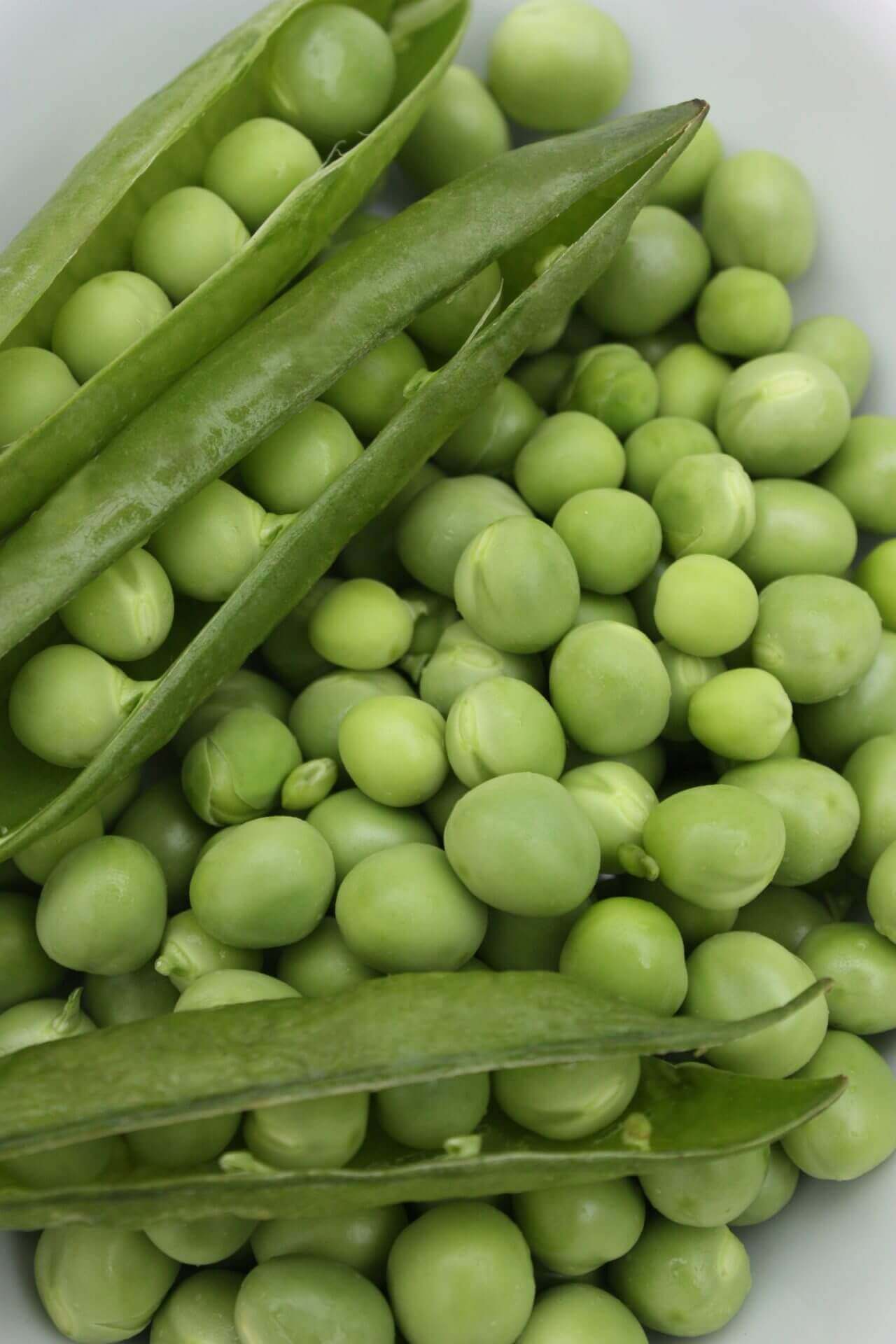 OSC Early Frosty Pea Seeds - Packet