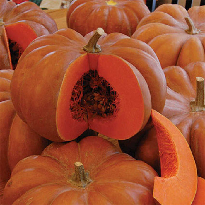 OSC Fairytale Pumpkin Seeds (Baking Type) - Packet