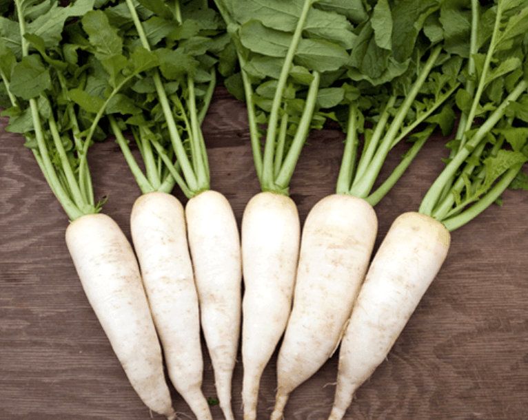 OSC China White Radish Seeds (Winter Type) - Packet