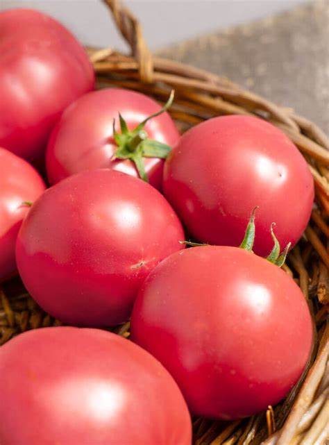 OSC Pink Ponderosa Tomato Seeds - Packet