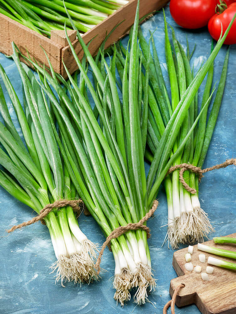 OSC White Gem Hybrid Onion Seeds (White Bunching Type) - Packet