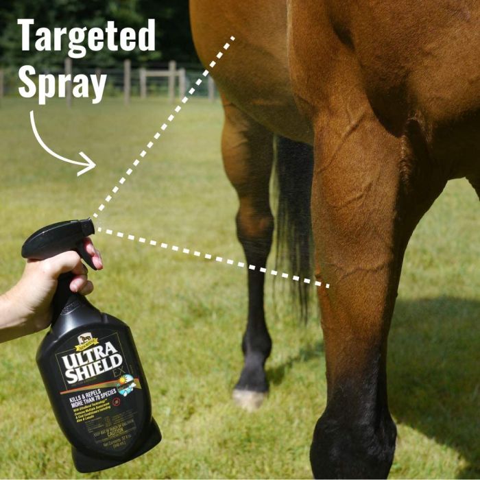 Ultra Shield Ex Fly Spray with Sprayer - 950ml