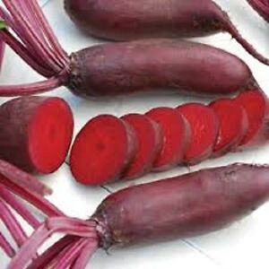 Aimers Cylindra Organic Beet Seeds - Packet