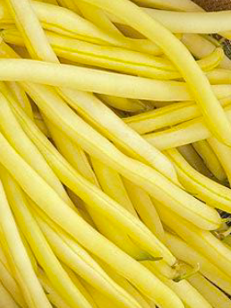 Aimers Golden Wax Organic Yellow Bush Bean Seeds - Packet