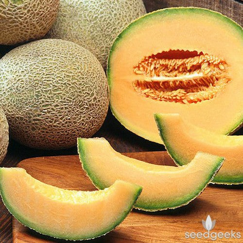Aimers Heart of Gold Organic Melon Seeds - Packet