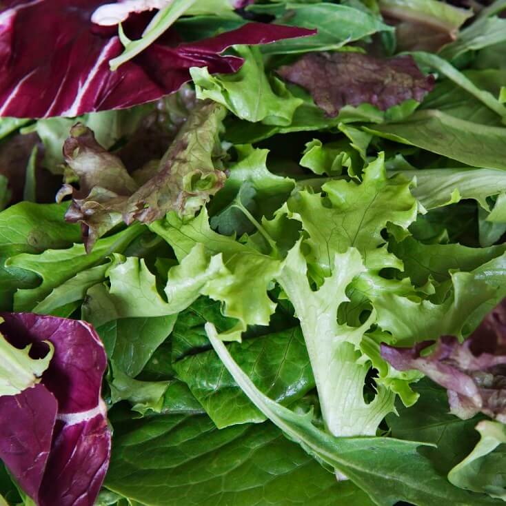 Aimers Organic Mesclun Mix Seeds - Packet
