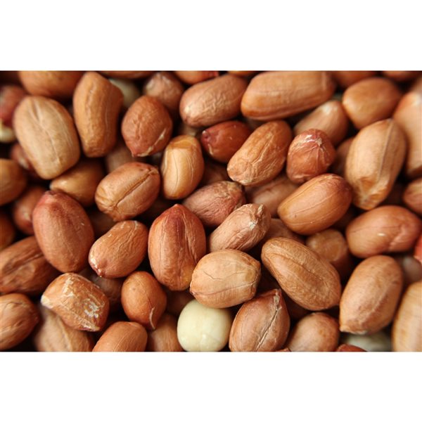 Shelled Peanuts - Per LB