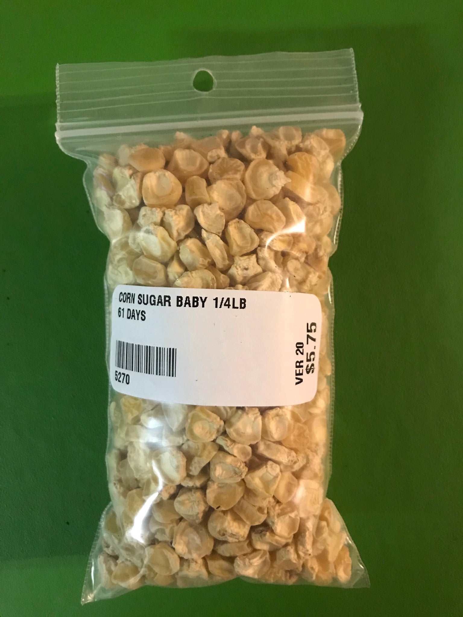 Sugar Baby Sweet Corn Seeds (61 Days) - 1/4 lb - Bulk