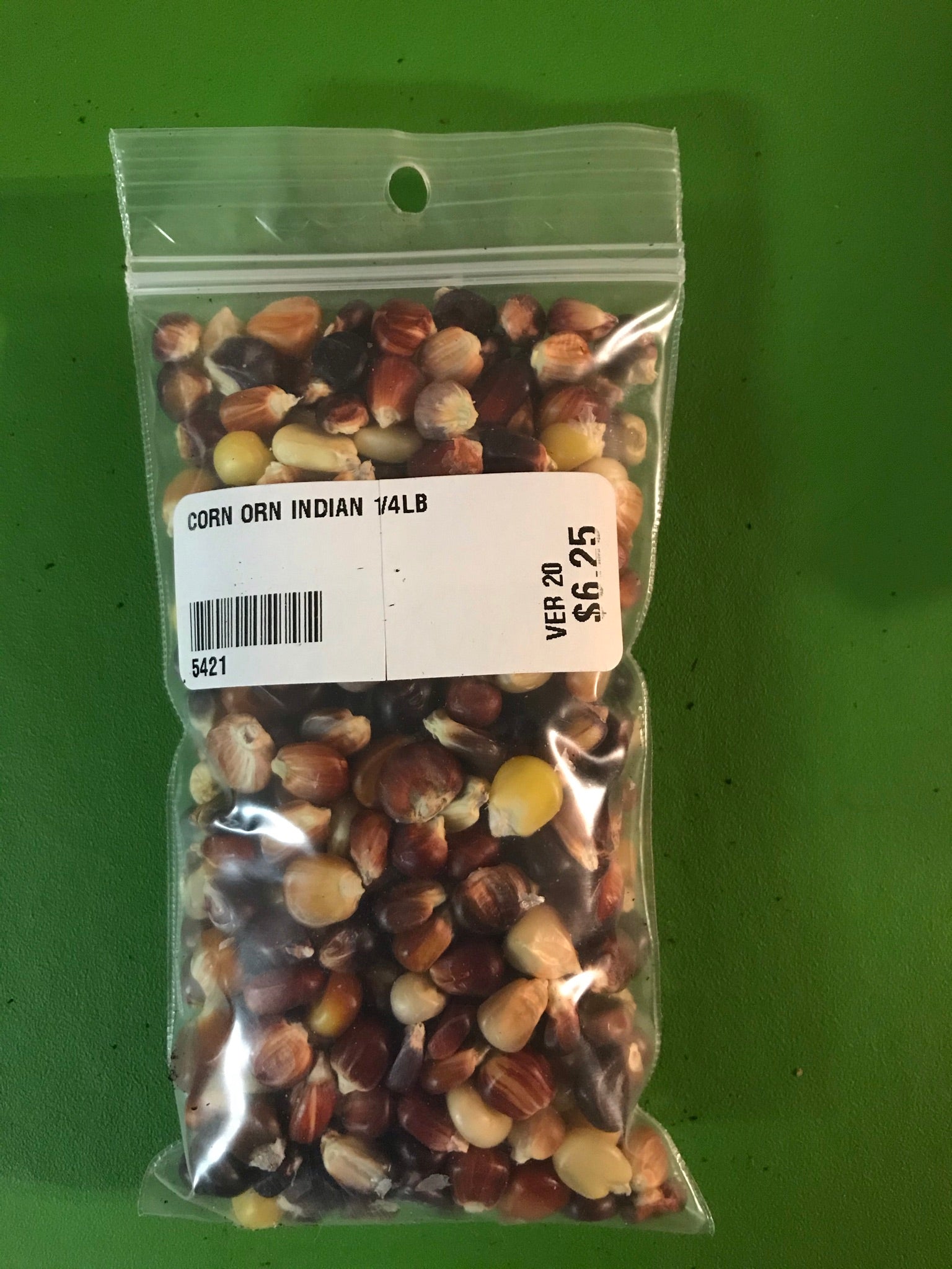 Ornamental Corn Seeds - 1/4lb - Bulk
