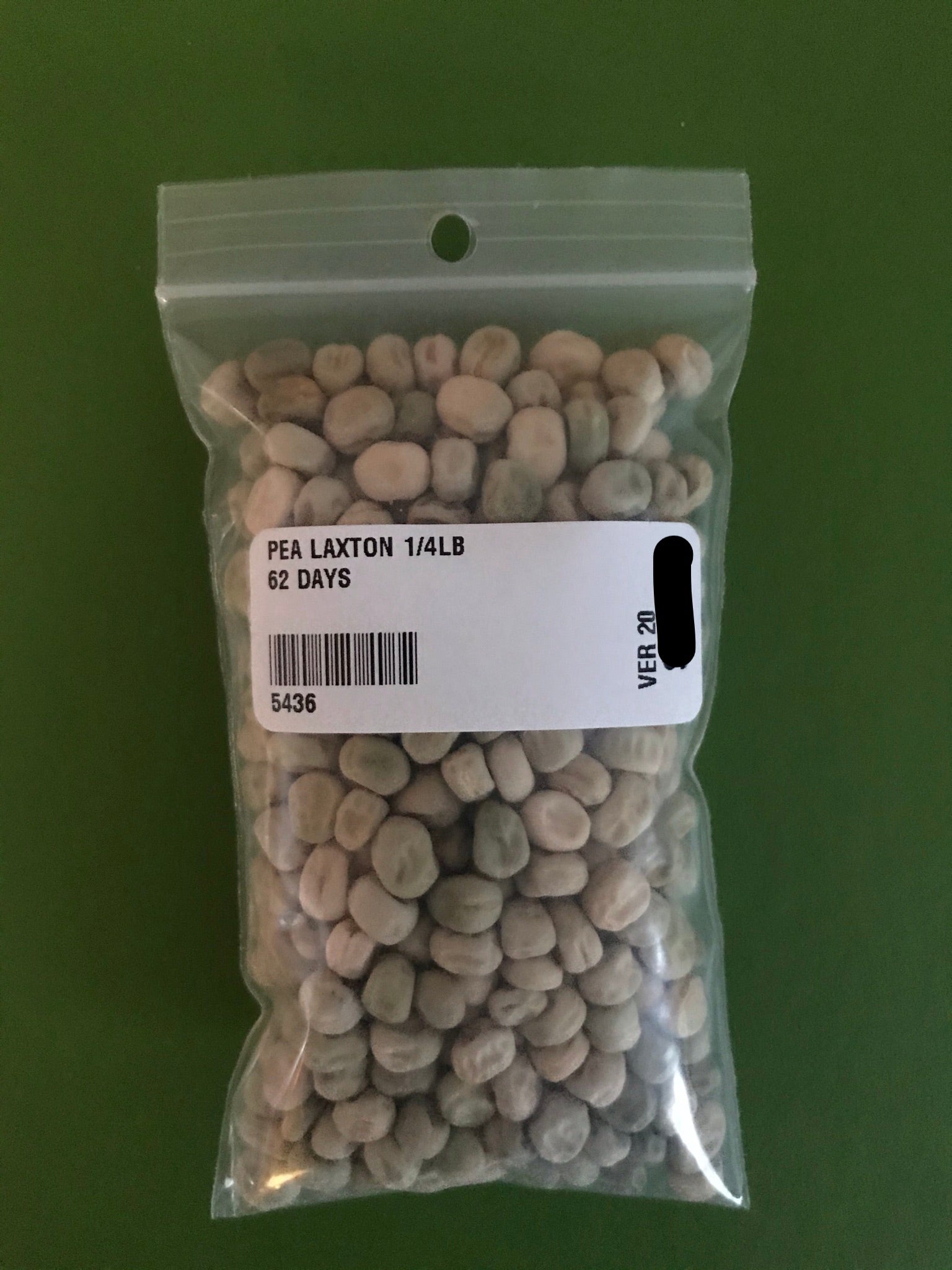 Thomas Laxton Pea Seeds (Shelling Type) (62 Days) - 1/4 lb - Bulk