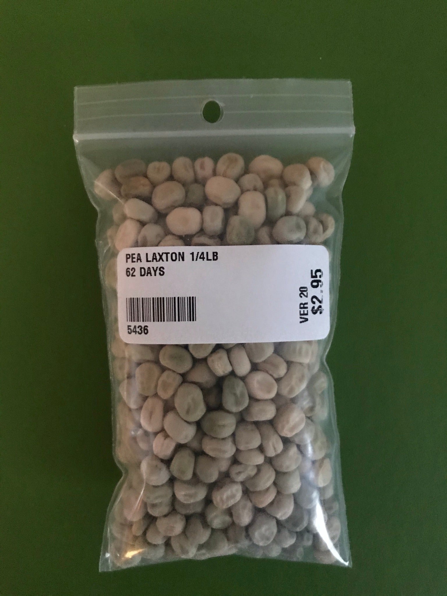 Thomas Laxton Pea Seeds (Shelling Type) (62 Days) - 1/4 lb - Bulk