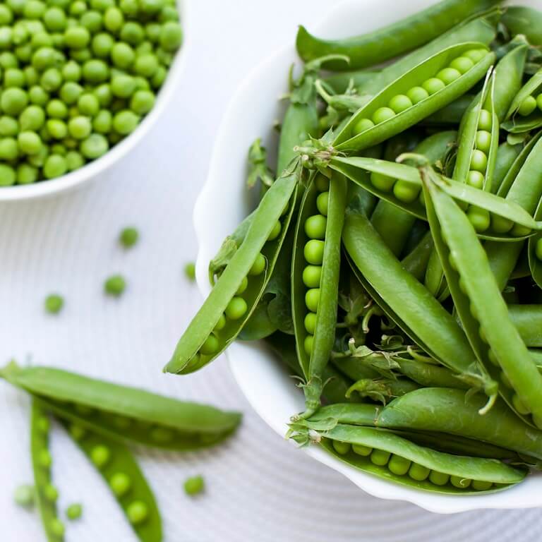 Thomas Laxton Pea Seeds (Shelling Type) (62 Days) - 1/4 lb - Bulk