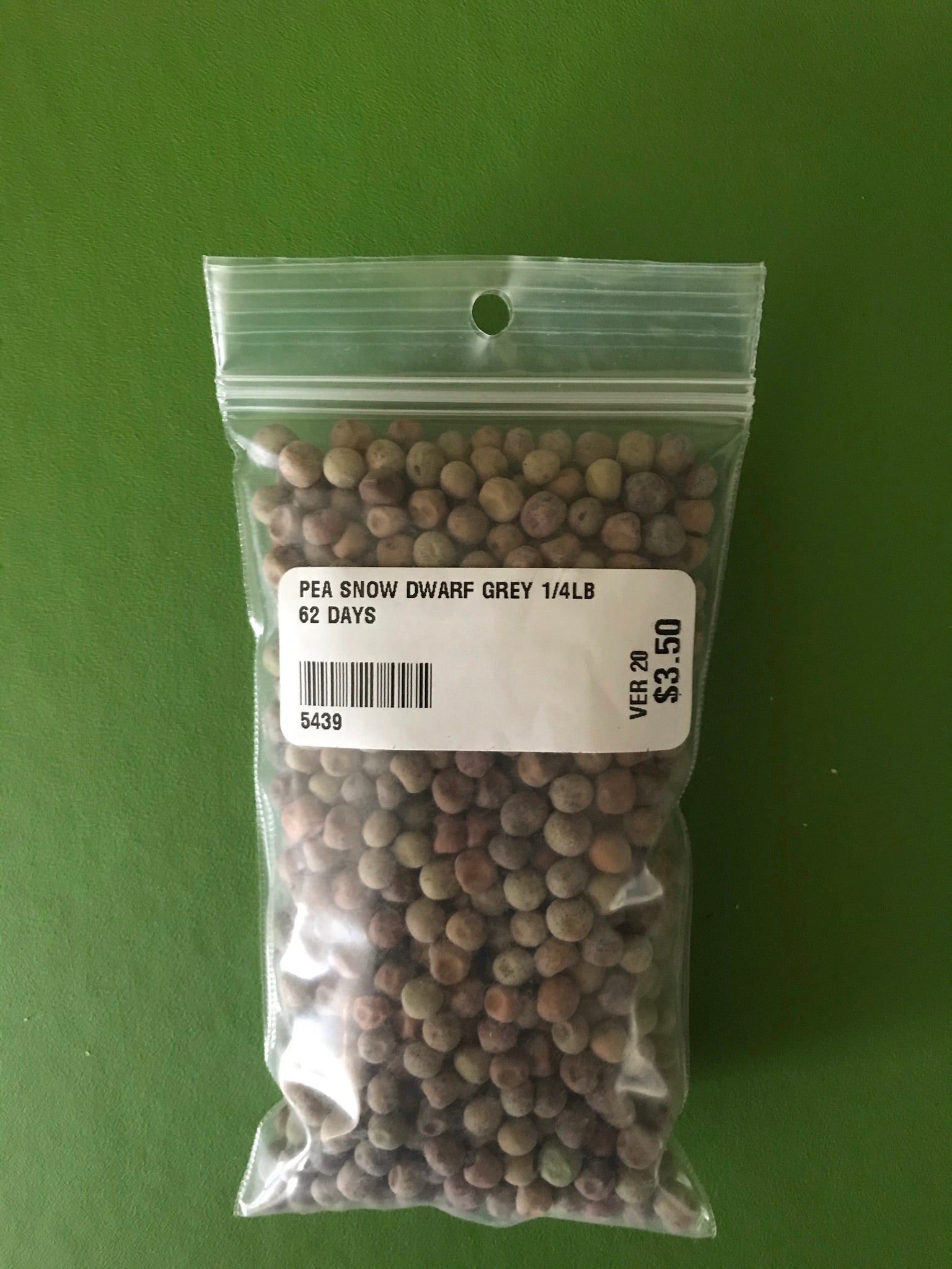 Dwarf Grey Sugar Edible Pod Pea Seeds (62 Days) - 1/4 lb - Bulk
