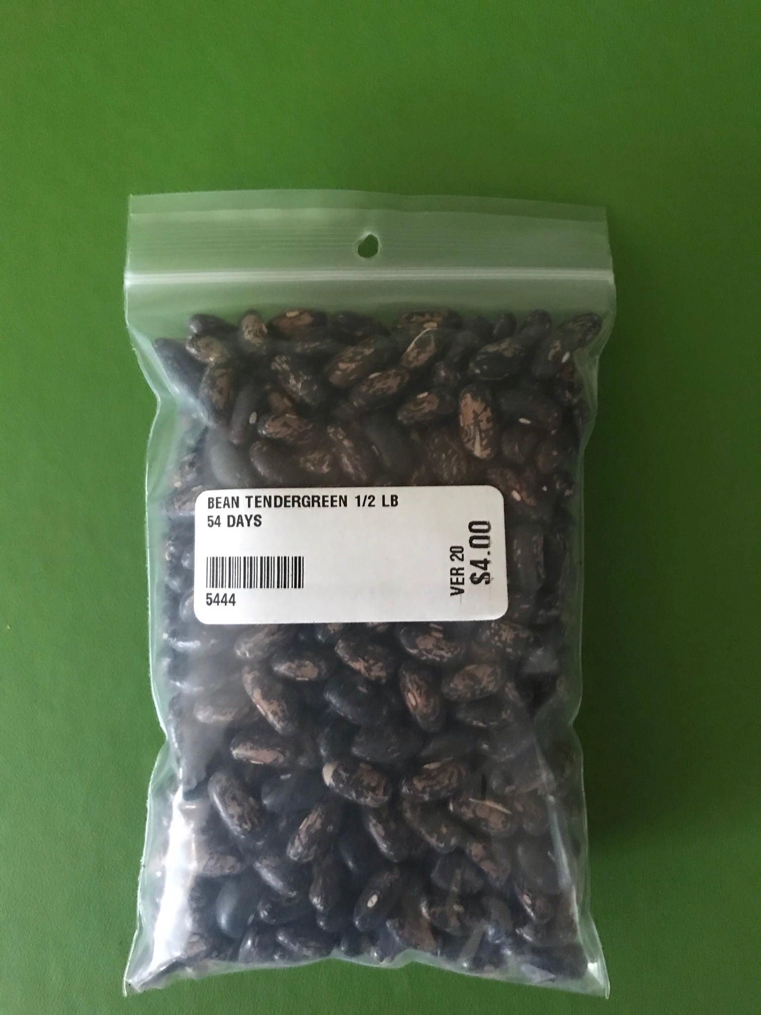 Tendergreen Bush Bean Seeds (54 Days) - 1/2 lb - Bulk