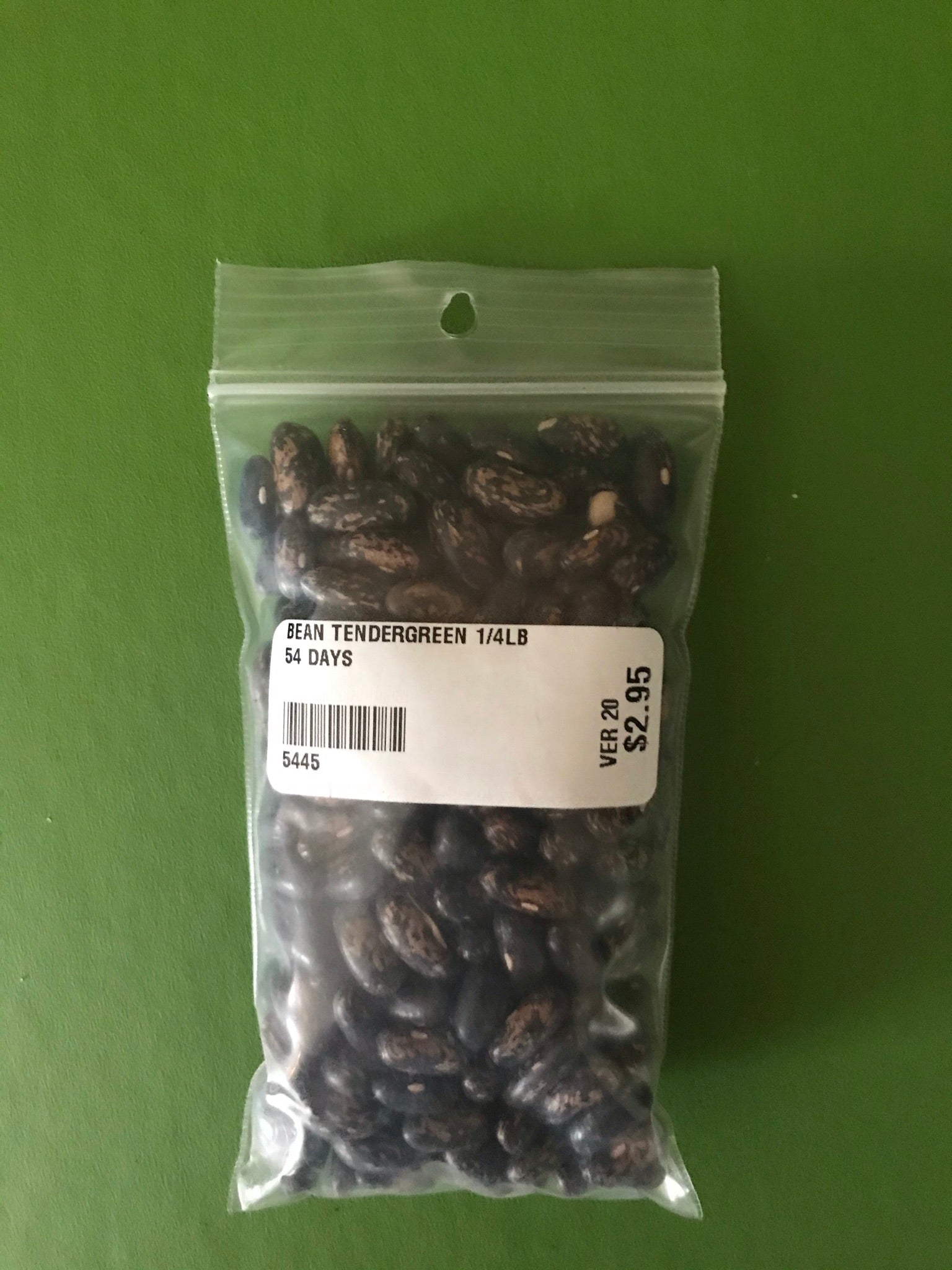 Tendergreen Bush Bean Seeds (54 Days) - 1/4 lb - Bulk