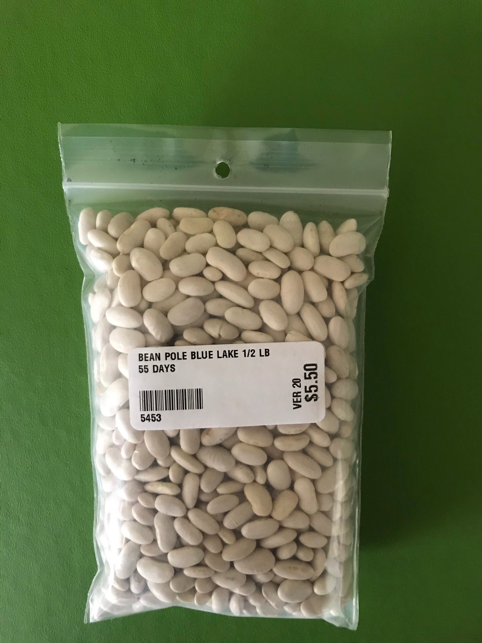 Blue Lake Pole Bean Seeds (55 Days) - 1/2 lb - Bulk