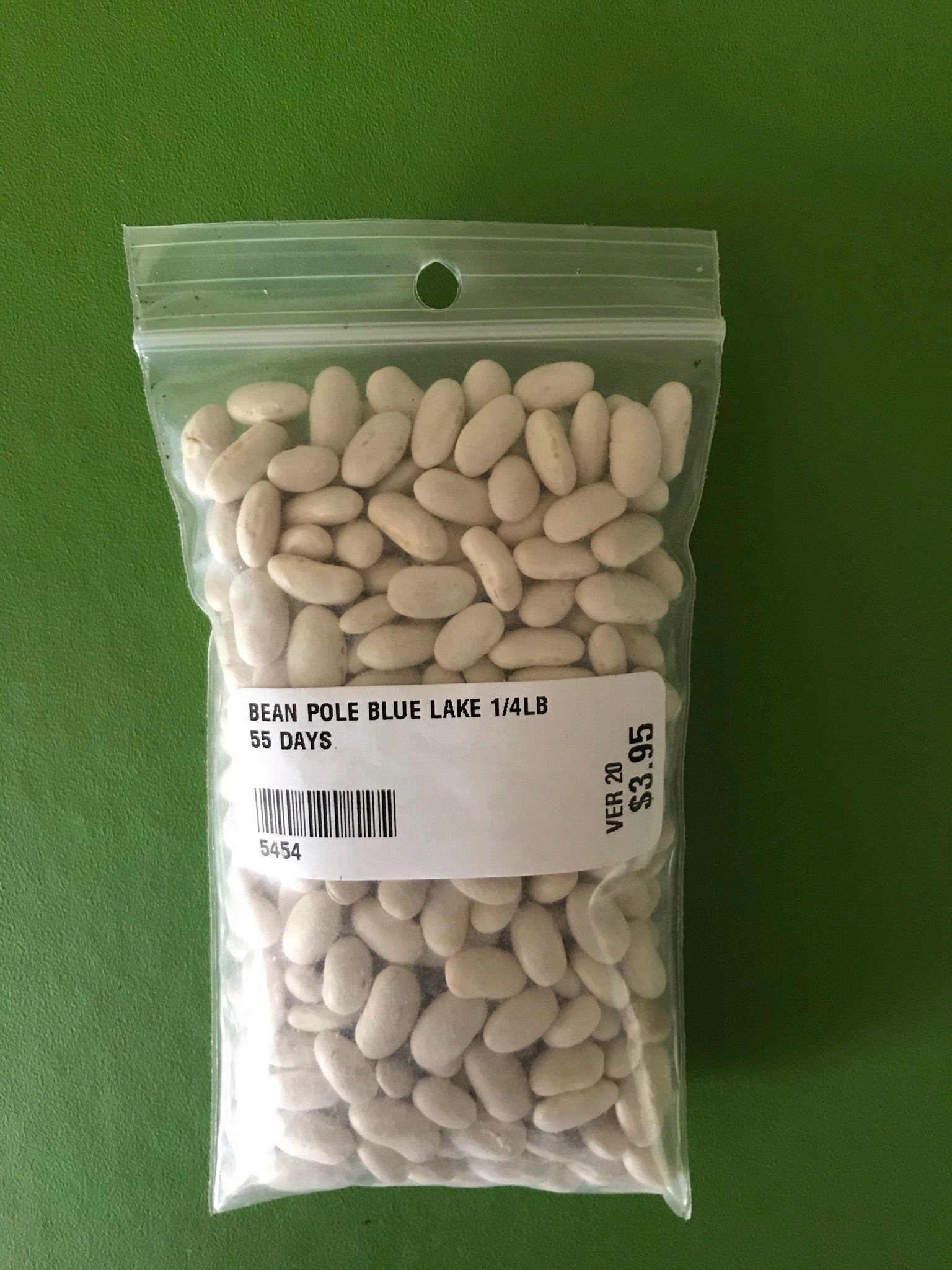 Blue Lake Pole Bean Seeds (55 Days) -1/4 lb - Bulk