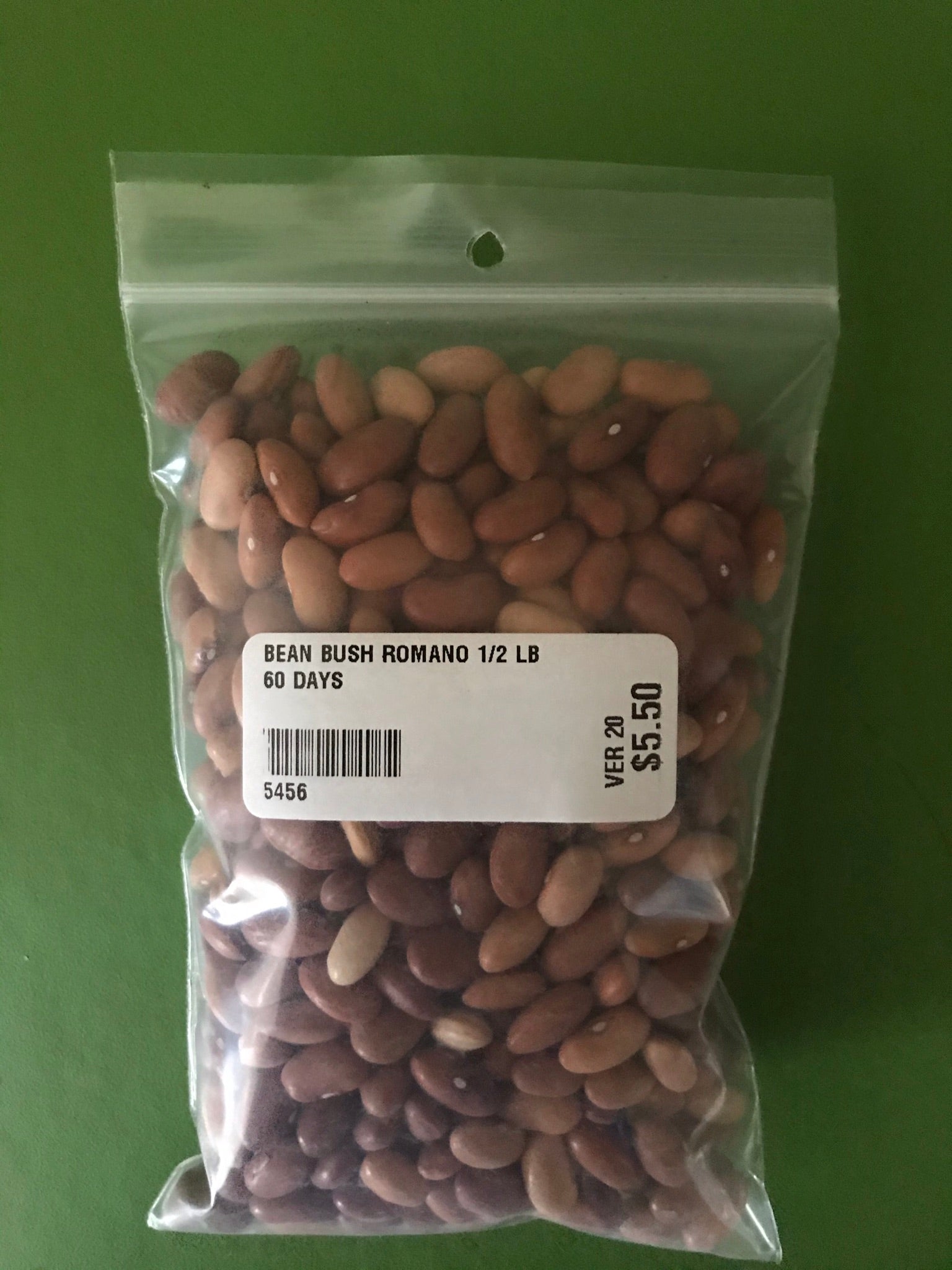 Romano No. 14 Bush Bean Seeds (60 Days) - 1/2 lb - Bulk