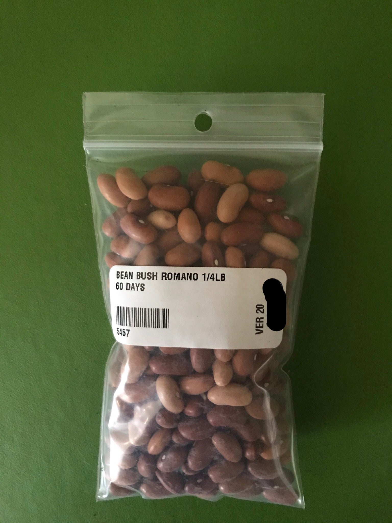Romano No. 14 Bush Bean Seeds (60 Days) - 1/4 lb - Bulk