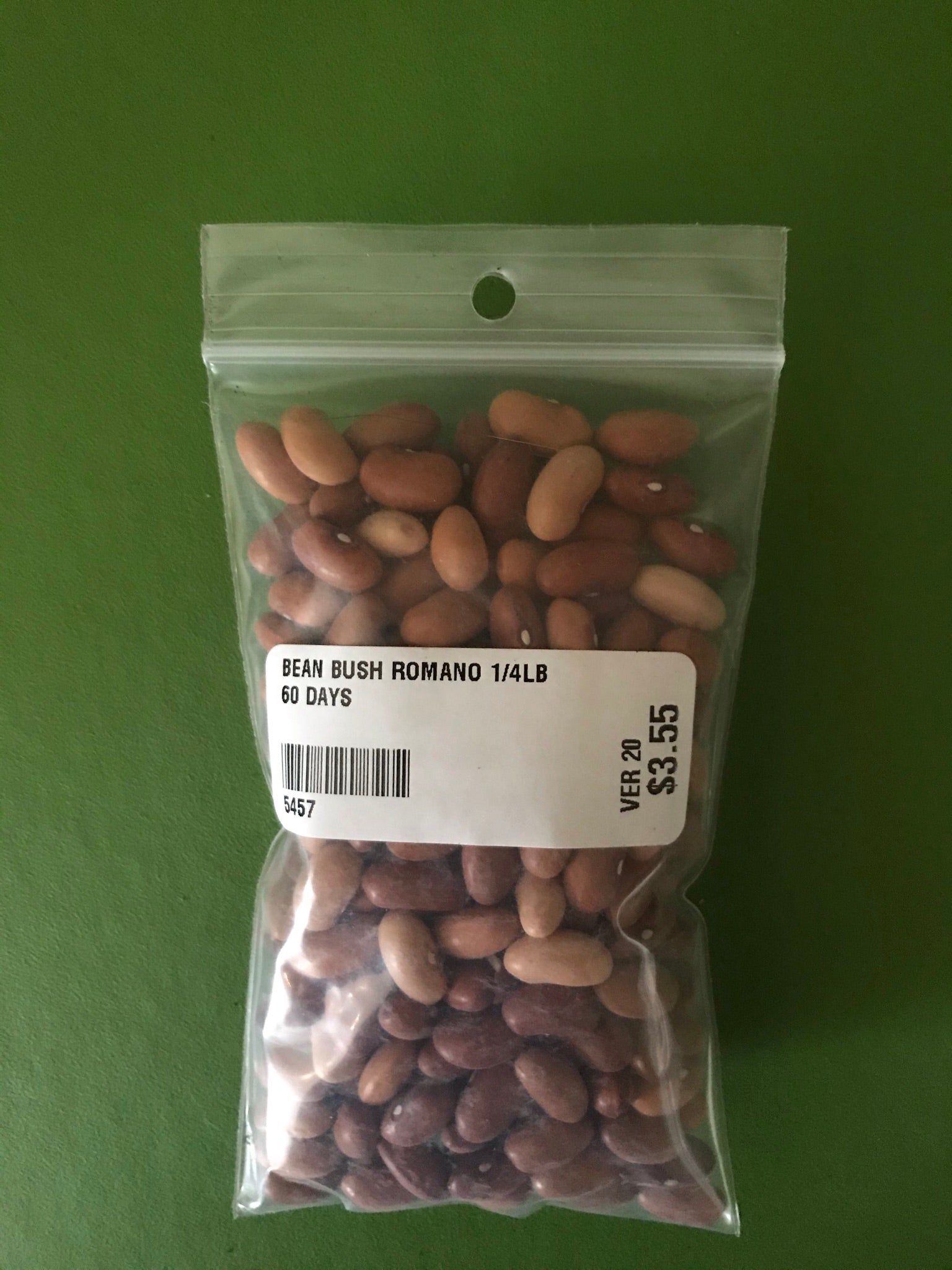 Romano No. 14 Bush Bean Seeds (60 Days) - 1/4 lb - Bulk
