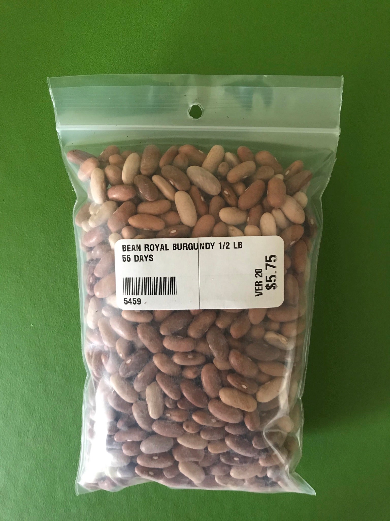 Royal Burgundy Bush Bean Seeds (55 Days) 1/2 lb - Bulk