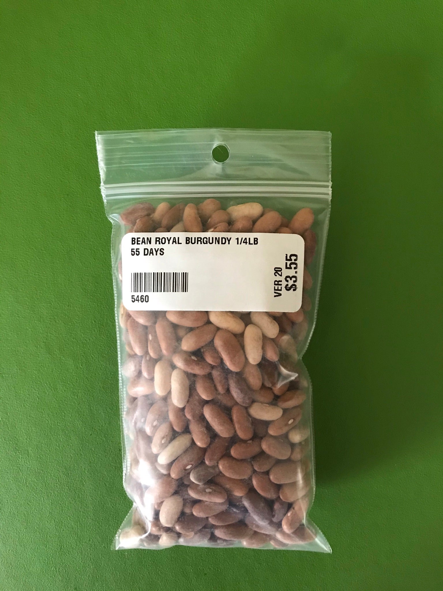 Royal Burgundy Bush Bean Seeds (55 Days) - 1/4 lb - Bulk 55 DAYS
