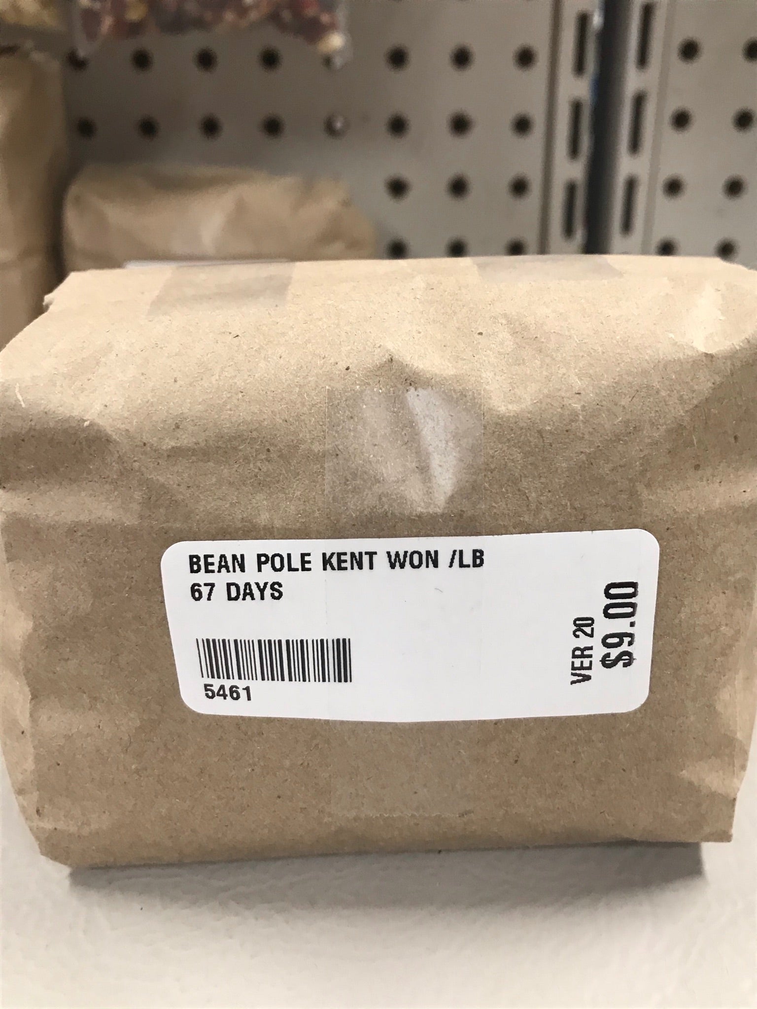 Kentucky Wonder Green Pole Bean Seeds (67 Days) - 1 lb - Bulk