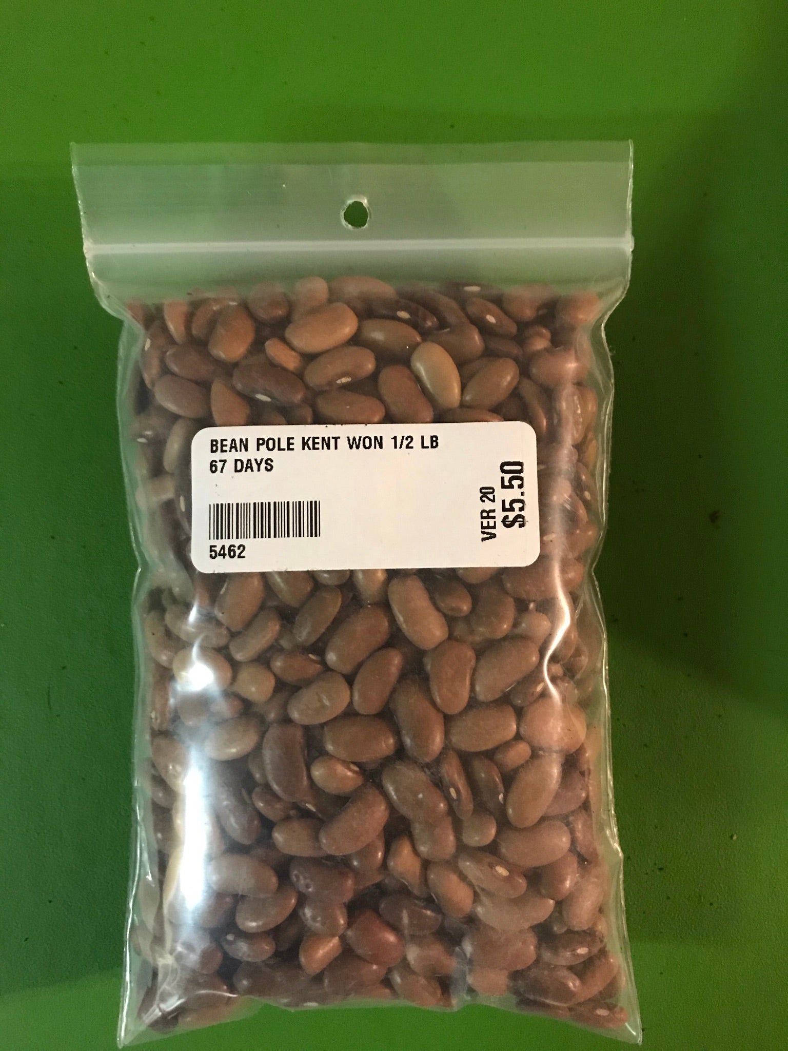 Kentucky Wonder Green Pole Bean Seeds (67 Days) - 1/2 lb - Bulk