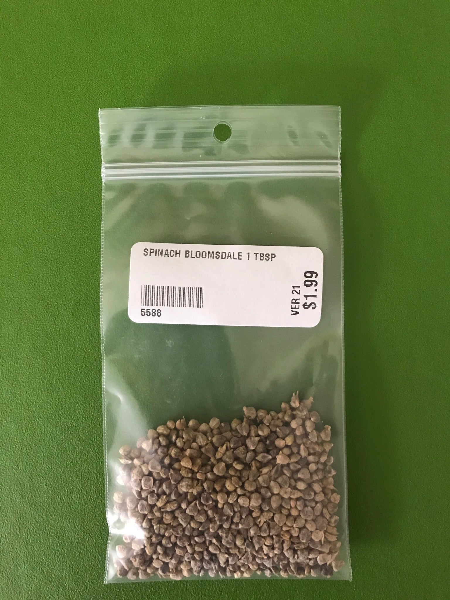 Bloomsdale Long Standing Spinach Seeds- 1 Tbsp - Bulk