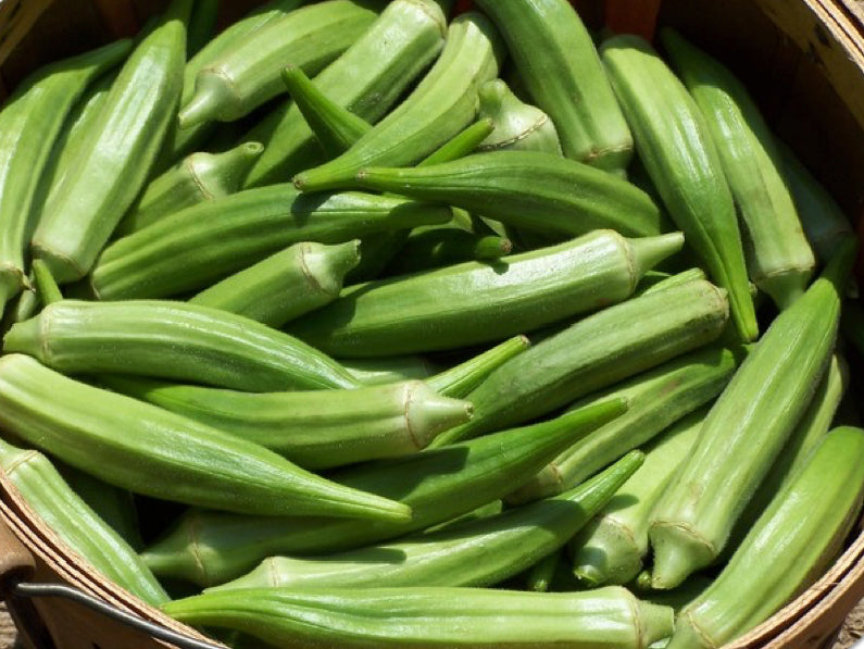 Aimers Organic Okra Seeds - Packet