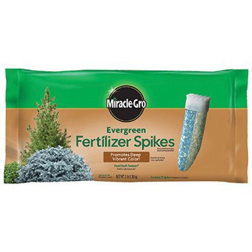 Miracle-Gro Evergreen Fertilizer Spikes 1.1kg (10 pack)