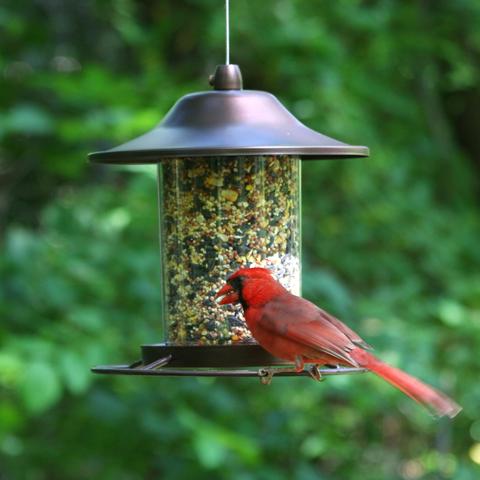 Perky-Pet Copper Panorama Bird Feeder - 2lb Capacity