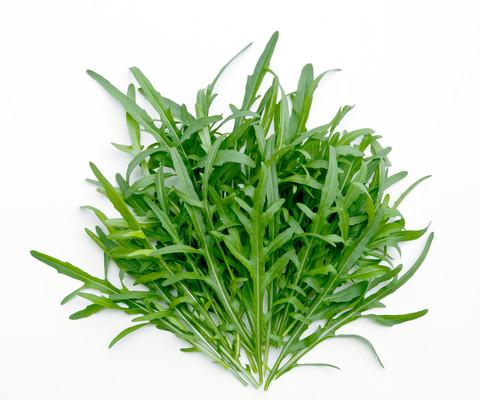 OSC Wild Roquette Arugula Seeds (Aimers International) - Packet