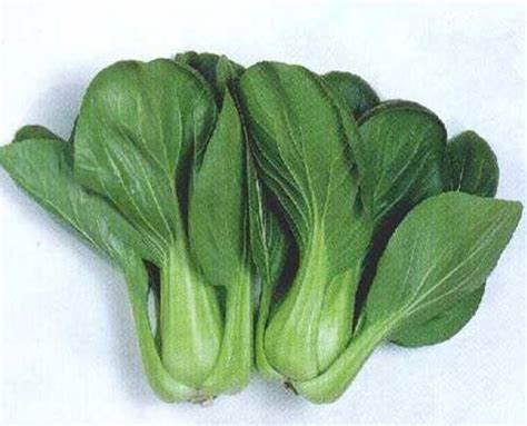 OSC Mei Qing Choi Hybrid Pak Choi Seeds (Aimers International) - Packet