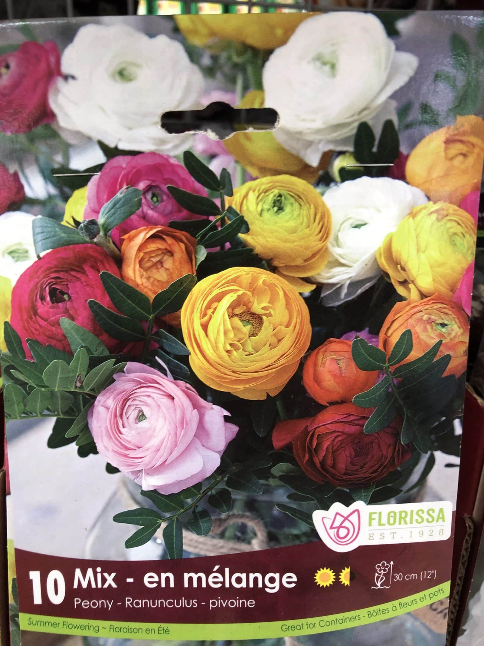 Florissa Ranunculus Peony Mix - 10 Bulbs/Pkg