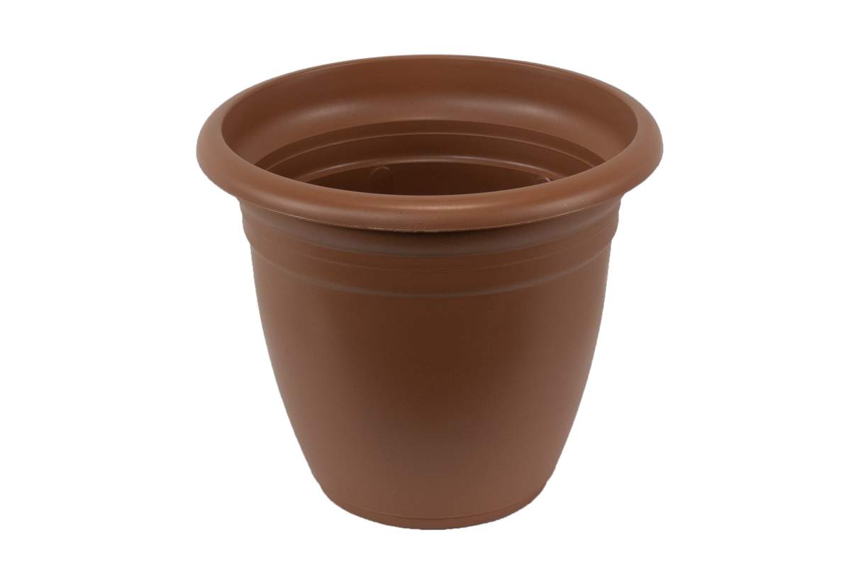 8" Terra Cotta Pot and Saucer - Plastic