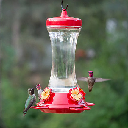 Pesky Pet Ruby Hummingbird Feeder