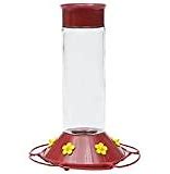 Pinebush 20 oz Glass Hummingbird Feeder